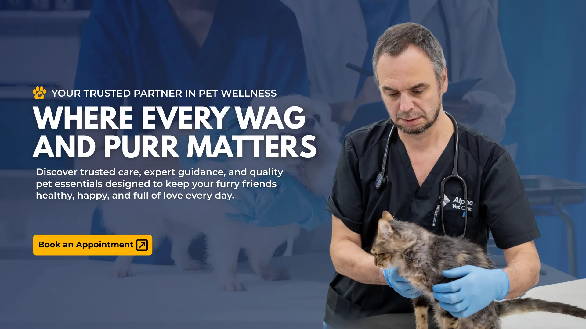 Alpha Vet Clinic Dubai veterinary clinic in Jumeirah