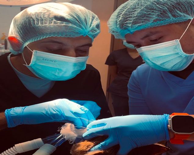 Veterinarian with a pet