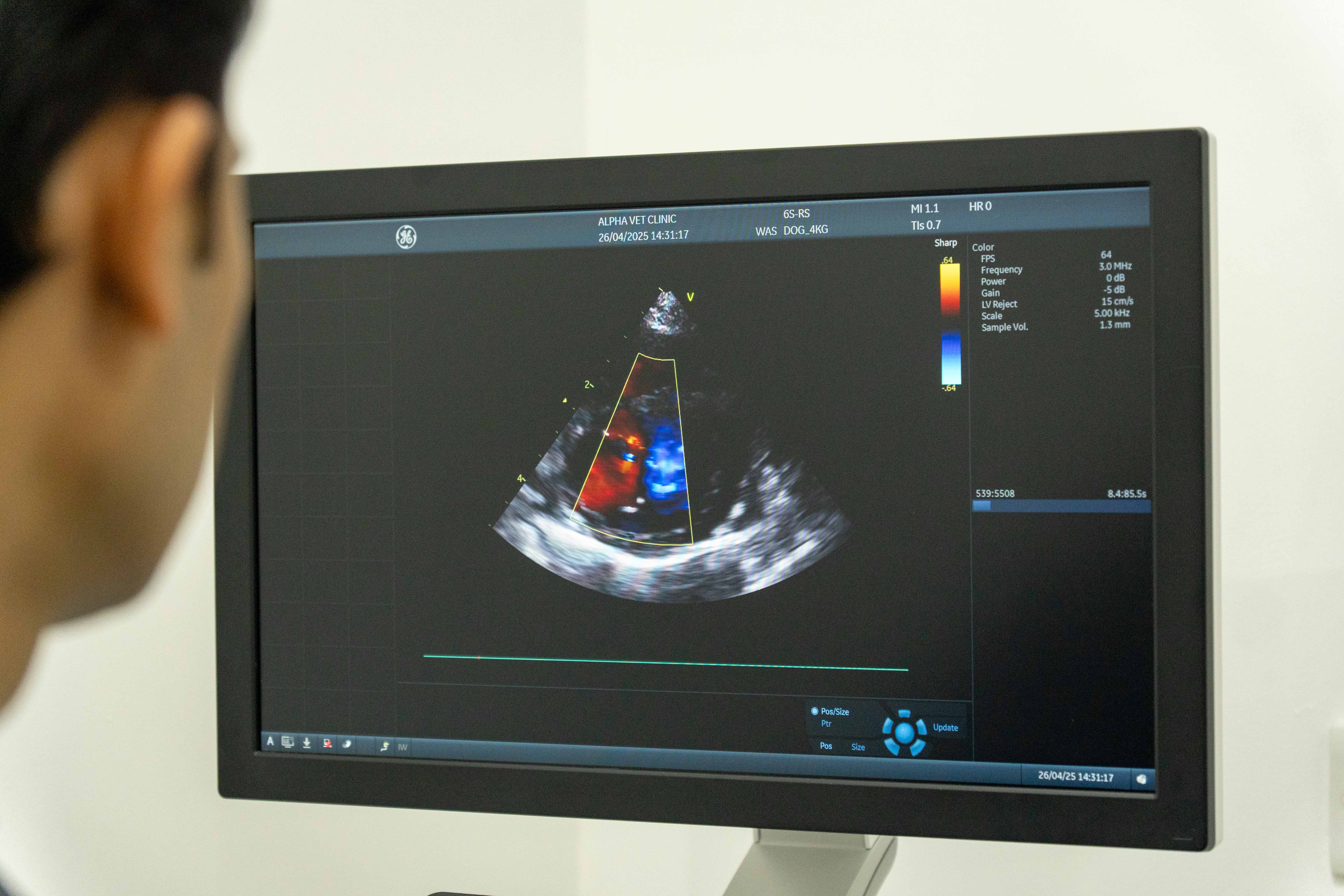 Veterinarian with a pet