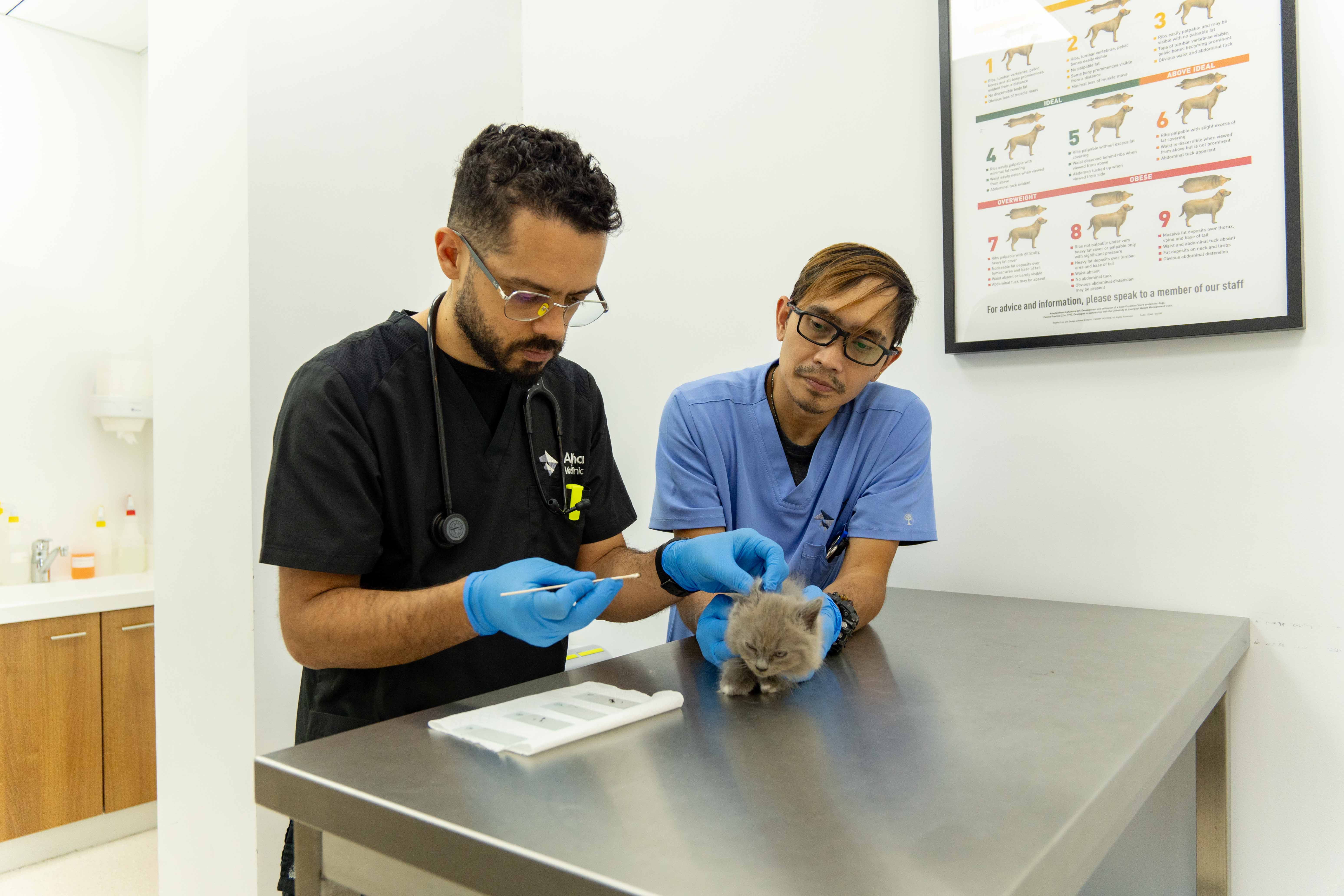 Veterinarian with a pet