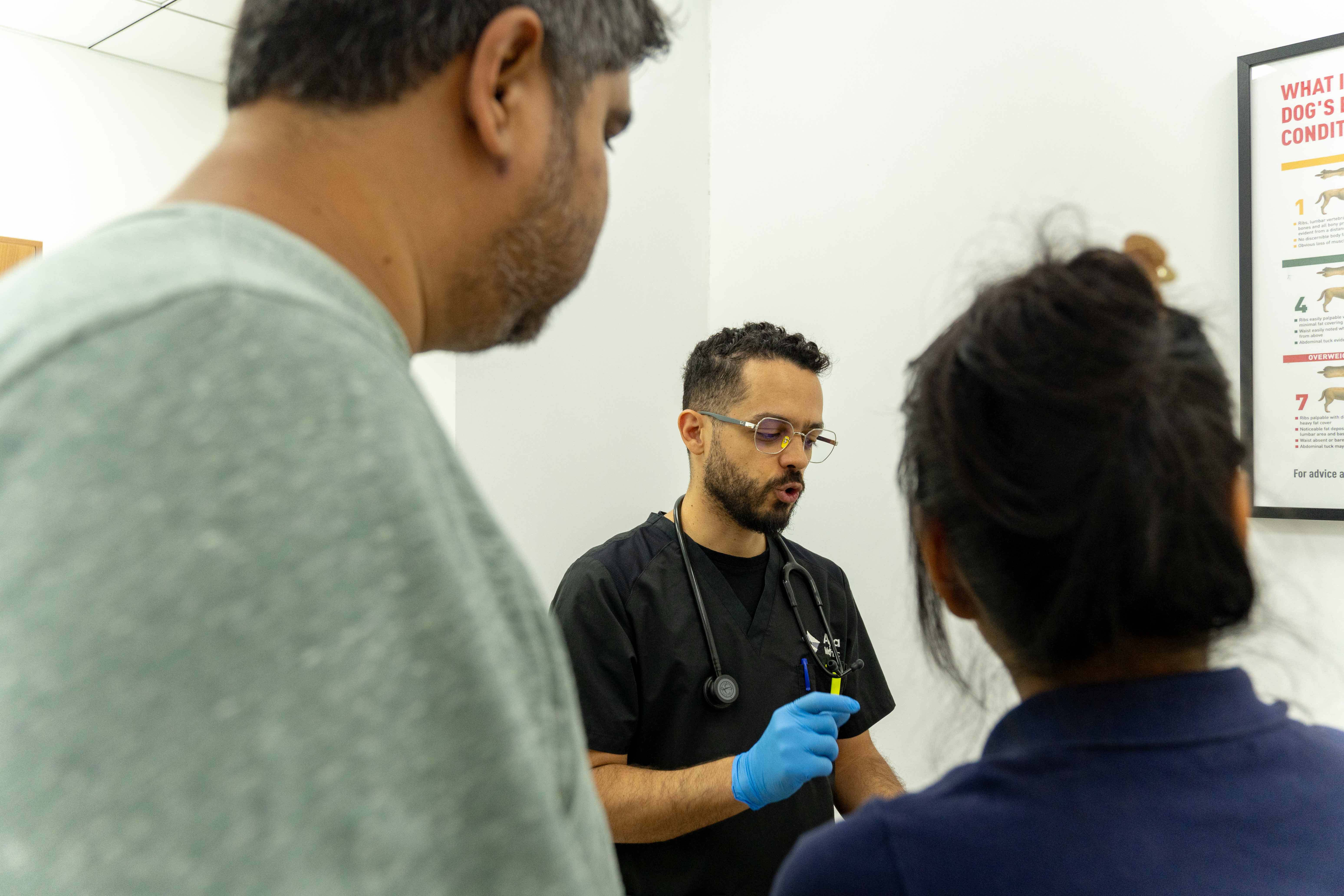 Veterinarian with a pet