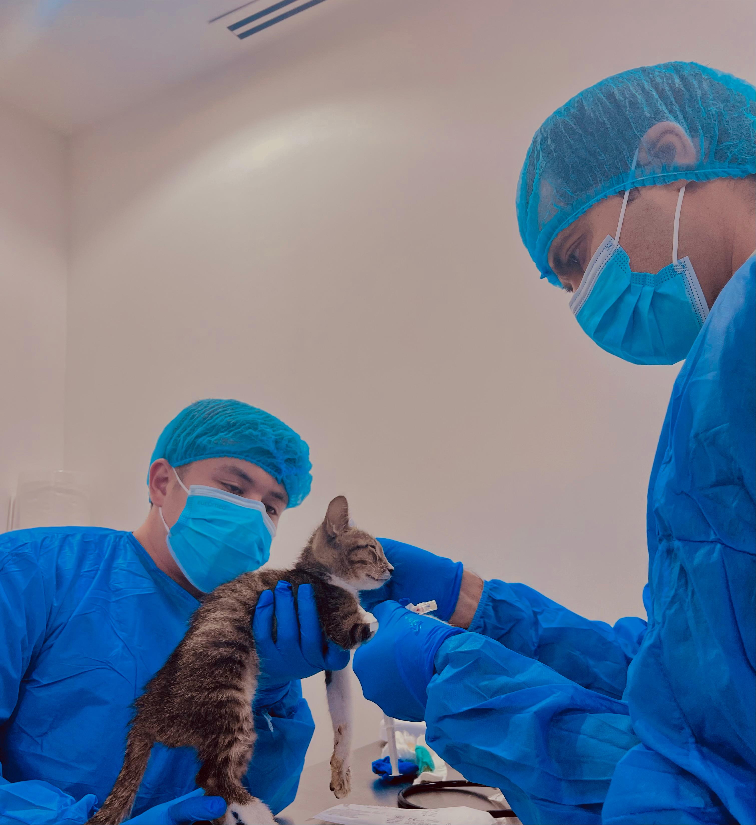 Veterinarian with a pet