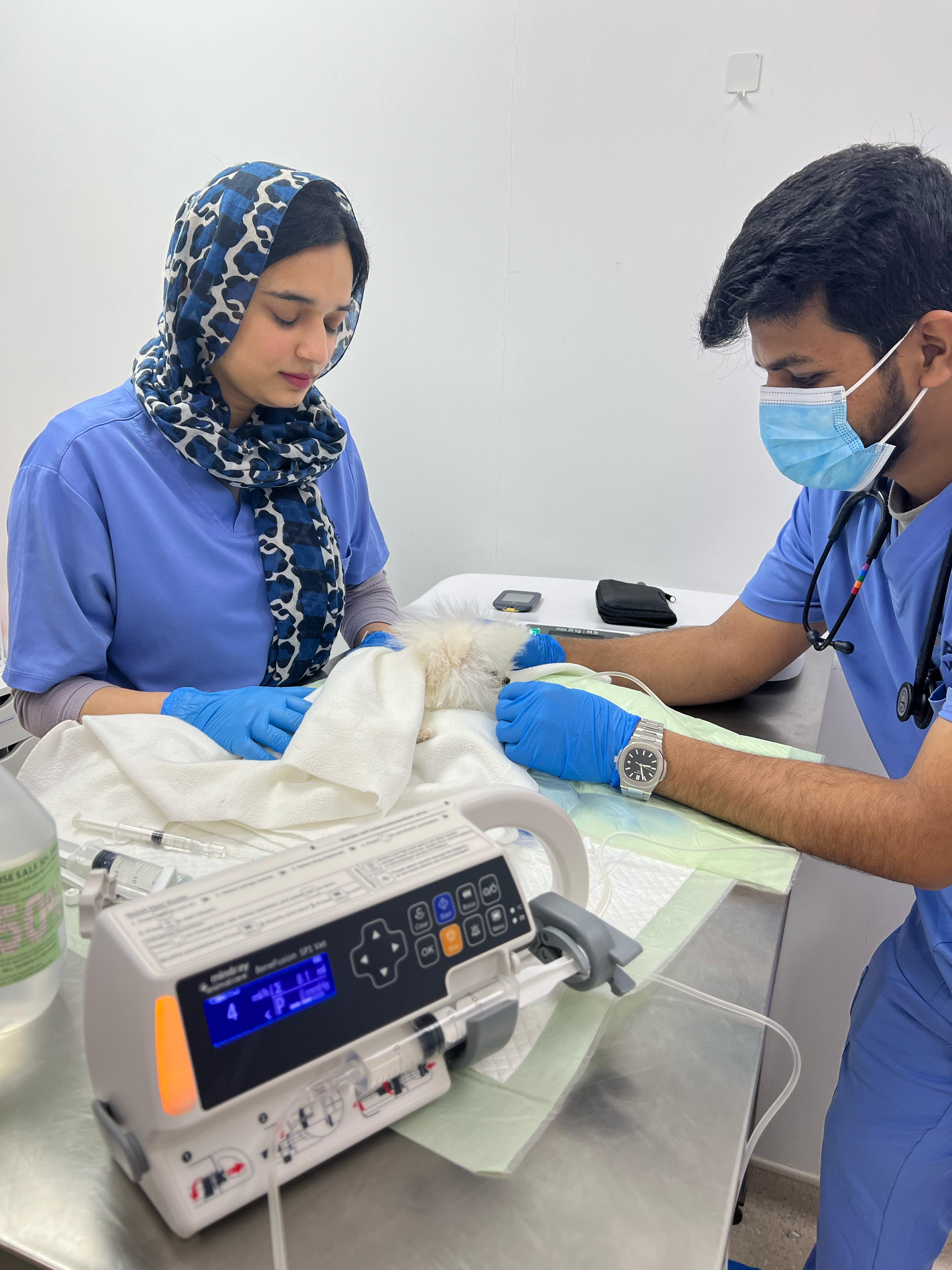 Veterinarian with a pet