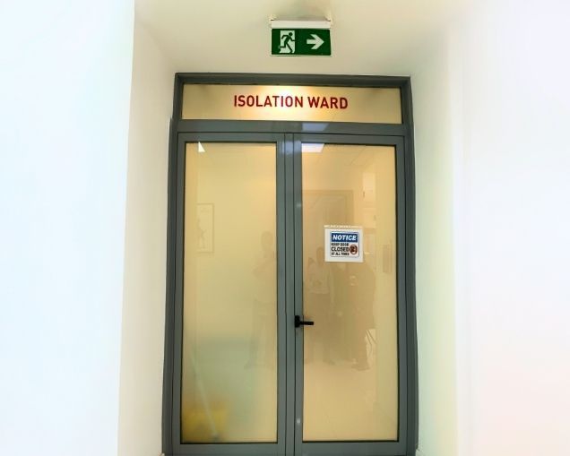 Veterinarian with a pet