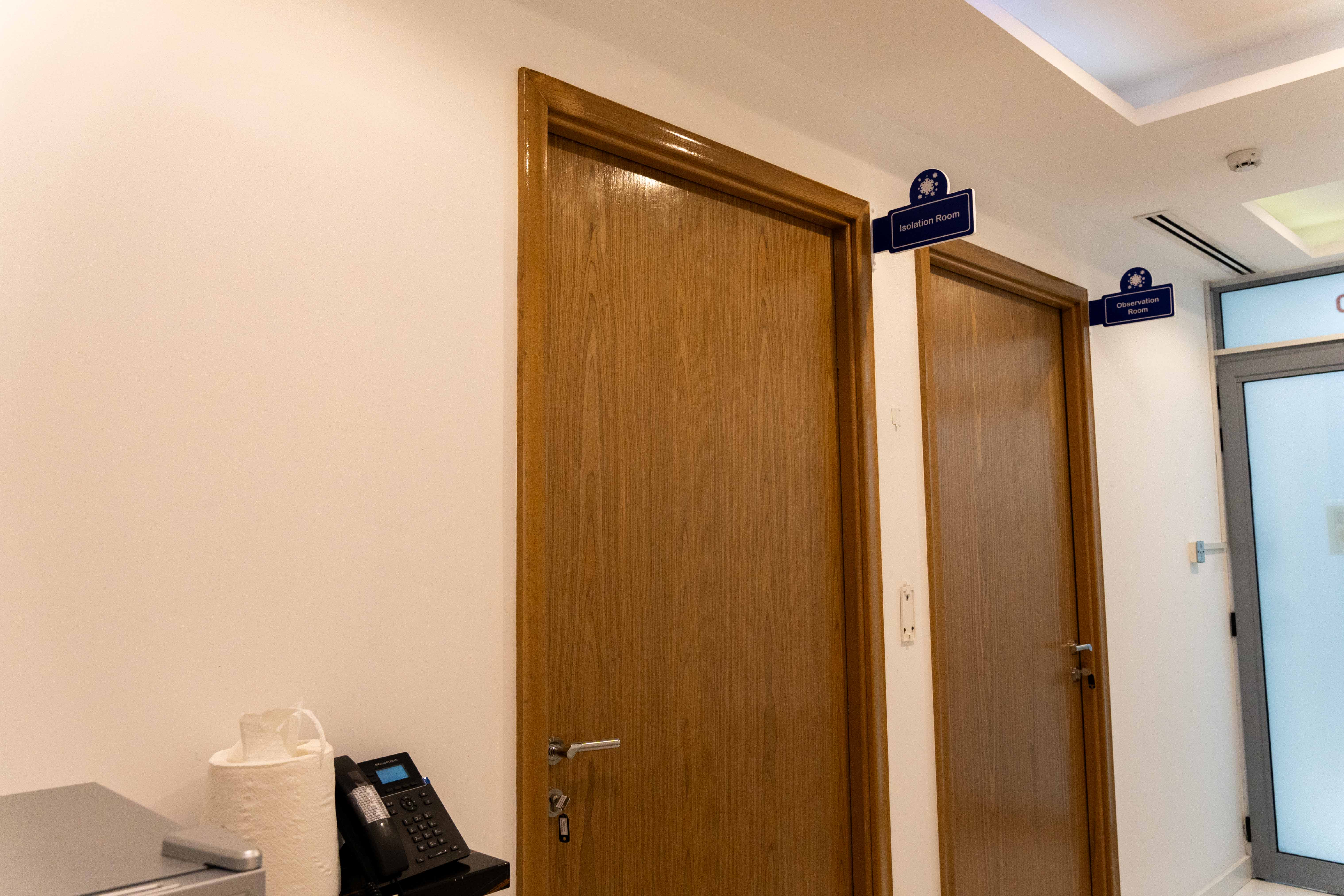 Veterinarian with a pet